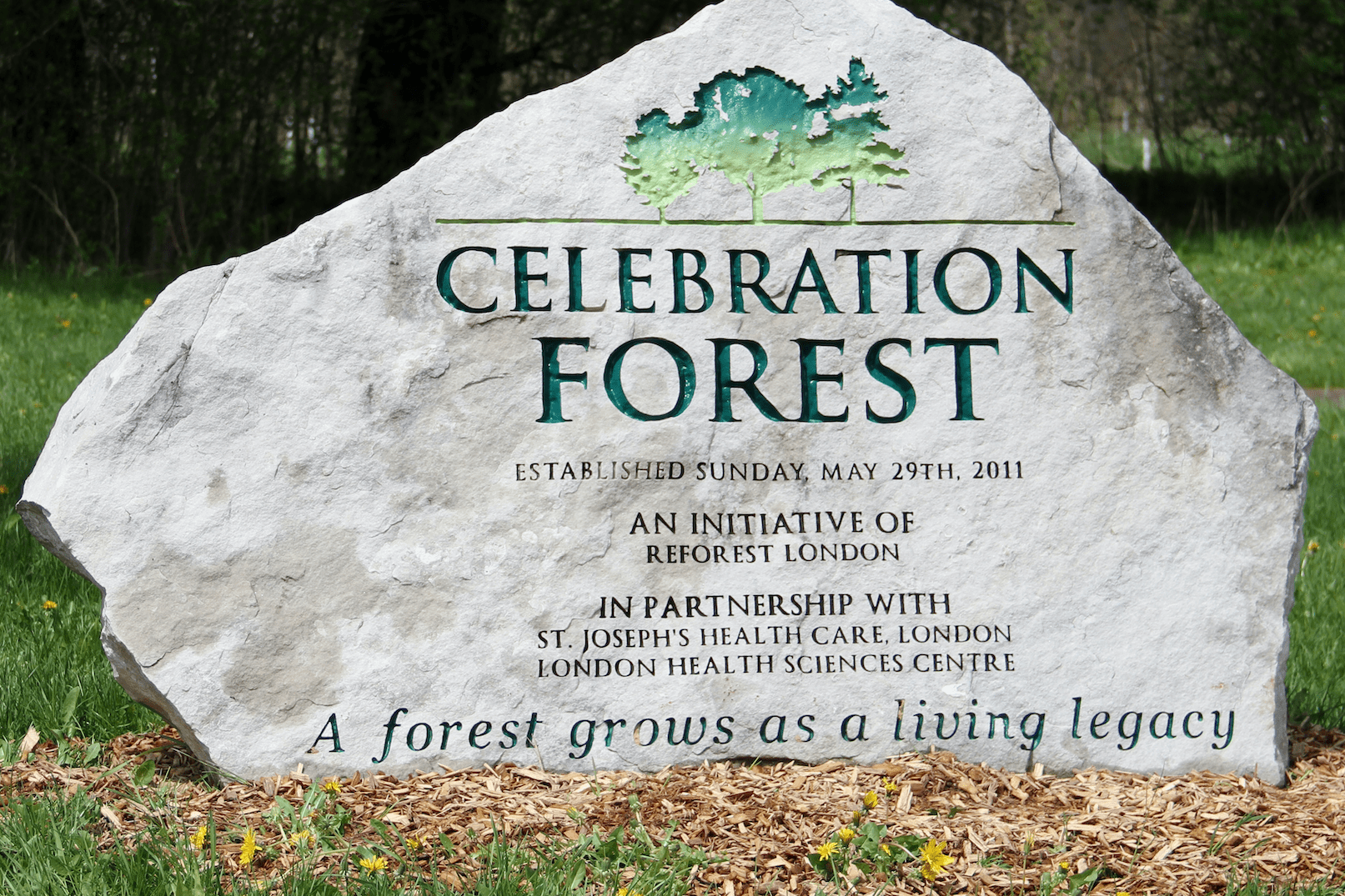 Celebration forest