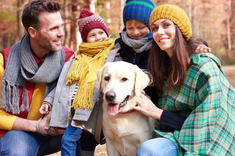 Walk with family and dog in the forest