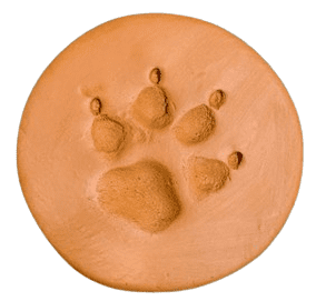 Clay Paw Print 